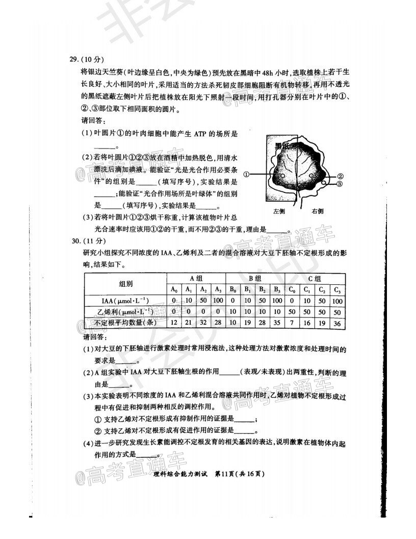 廈門(mén)市2020屆高中畢業(yè)班第一次質(zhì)量檢查理科綜合試題及答案