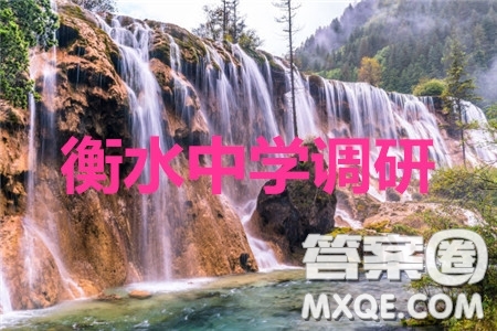 衡水中學(xué)2019-2020學(xué)年度高三年級(jí)十調(diào)考試?yán)砜茢?shù)學(xué)試題及答案