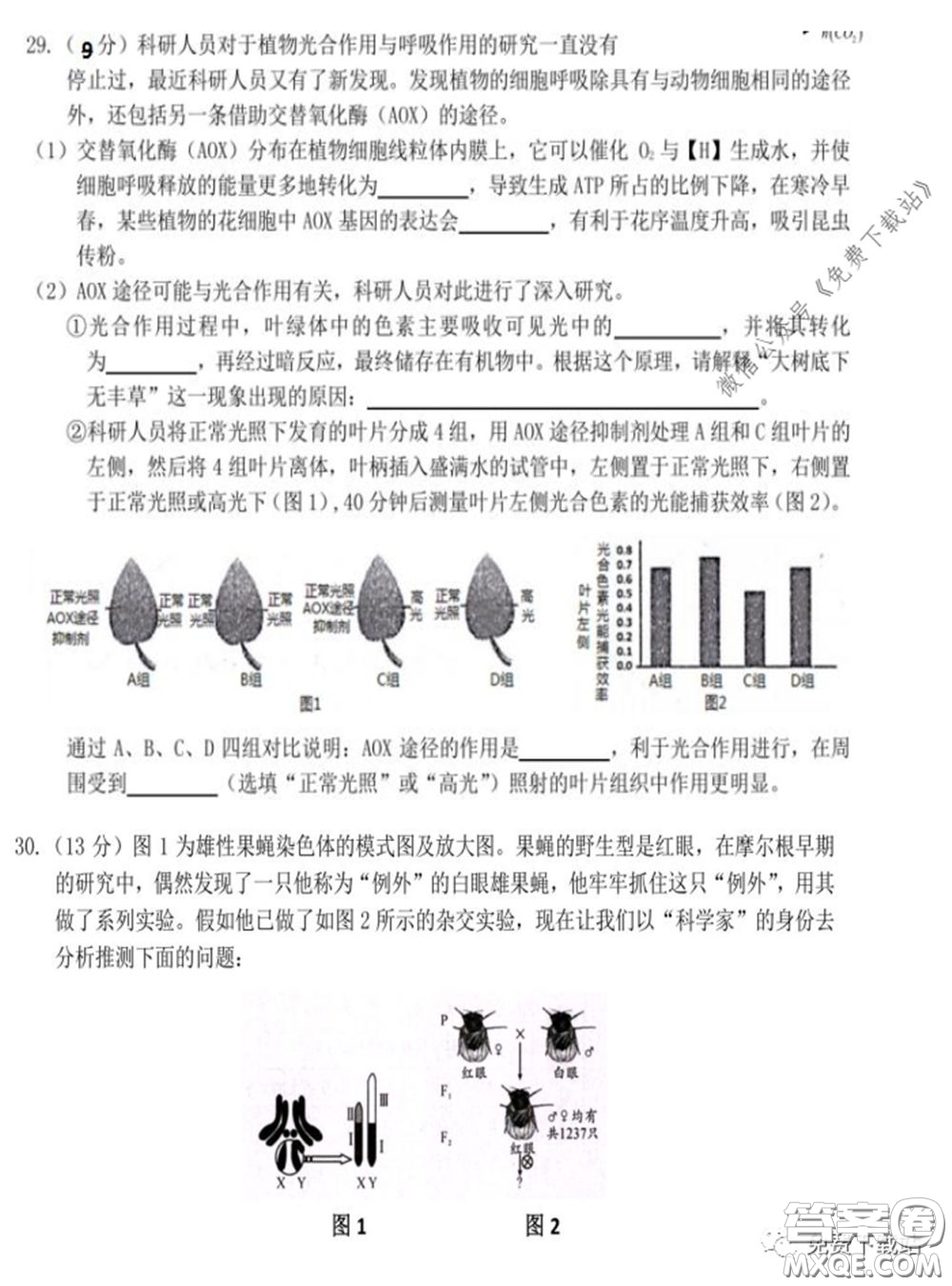 衡水中學(xué)2019-2020學(xué)年度高三年級(jí)十調(diào)考試?yán)砭C試題及答案