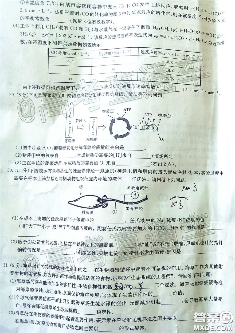 2020年高三甘青寧金太陽4月聯(lián)考理科綜合試題及答案