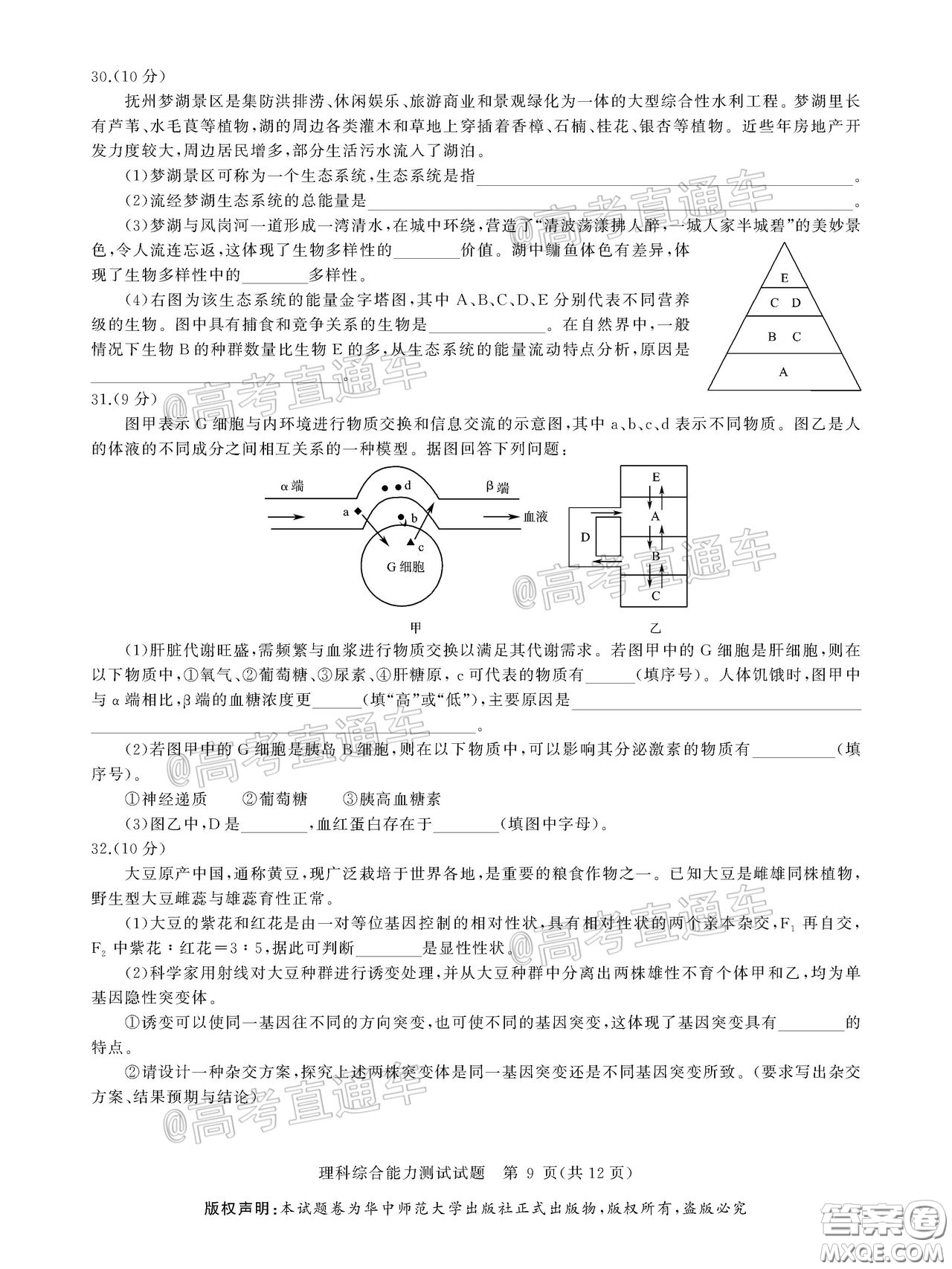 華大新高考聯(lián)盟2020屆高三4月教學(xué)質(zhì)量測評理科綜合試題及答案