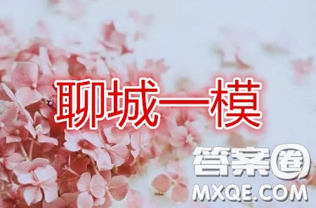 2020年聊城一模數(shù)學(xué)試題及答案