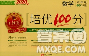 2020年王朝霞培優(yōu)100分數(shù)學六年級下冊SJ蘇教版參考答案