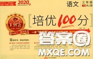 2020年王朝霞培優(yōu)100分語(yǔ)文三年級(jí)下冊(cè)RJ人教版參考答案