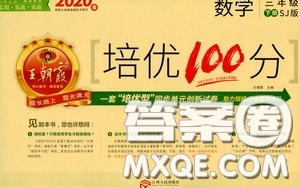 2020年王朝霞培優(yōu)100分?jǐn)?shù)學(xué)三年級(jí)下冊(cè)SJ蘇教版參考答案