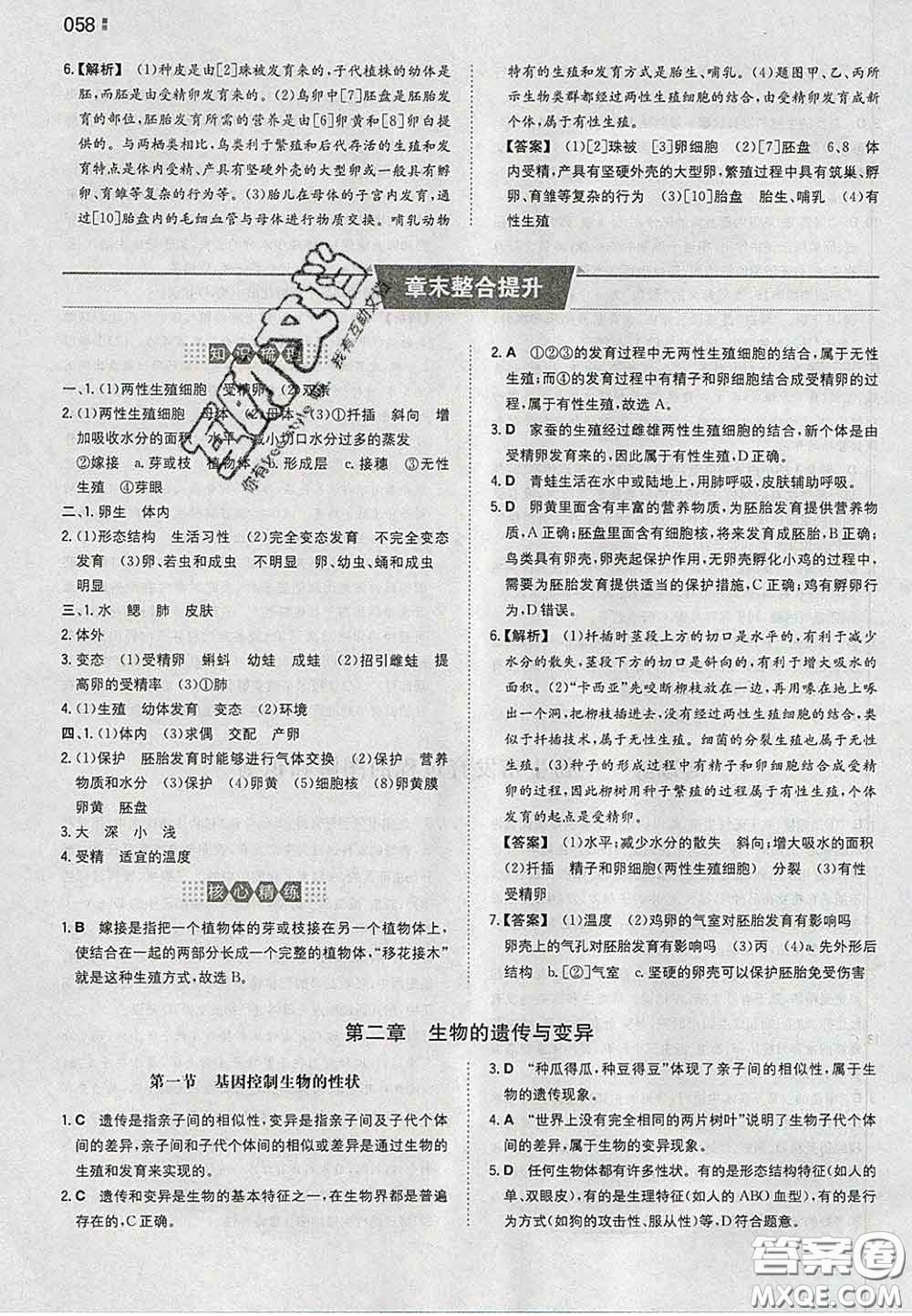 2020新版一本同步訓練初中生物八年級下冊人教版答案