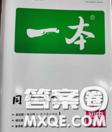 2020新版一本同步訓(xùn)練初中英語九年級下冊滬教版答案