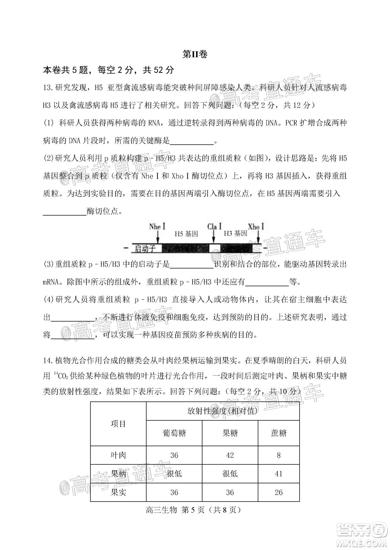 天津市河北區(qū)2019-2020學年度高三年級總復習質量檢測一生物試題及答案