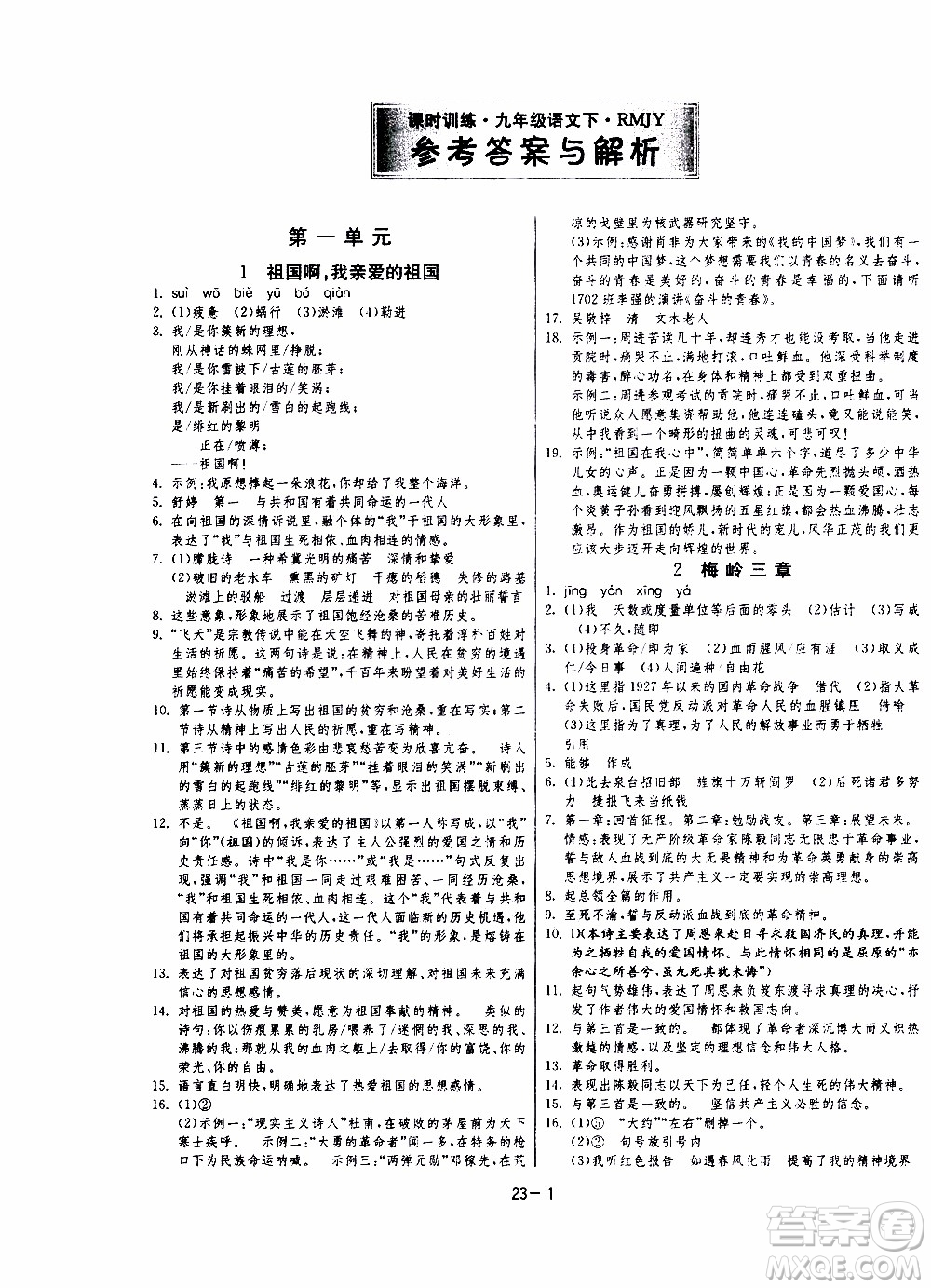 2020年課時(shí)訓(xùn)練九年級(jí)下冊(cè)語(yǔ)文RMJY人民教育版參考答案