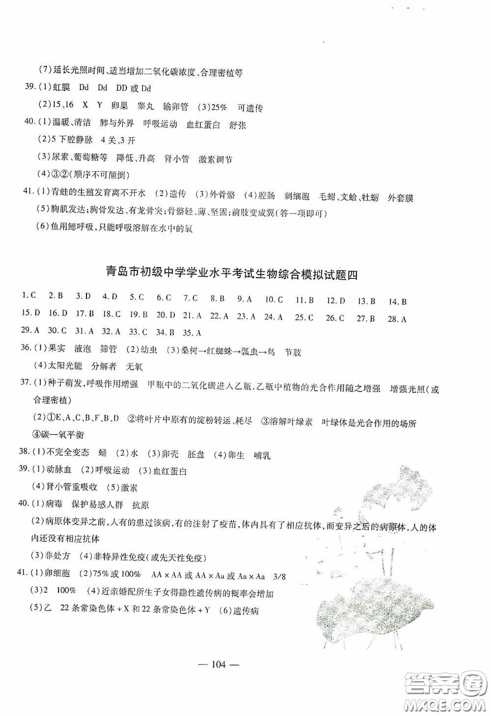 四維文化中考考什么2020中考沖刺模擬卷生物答案