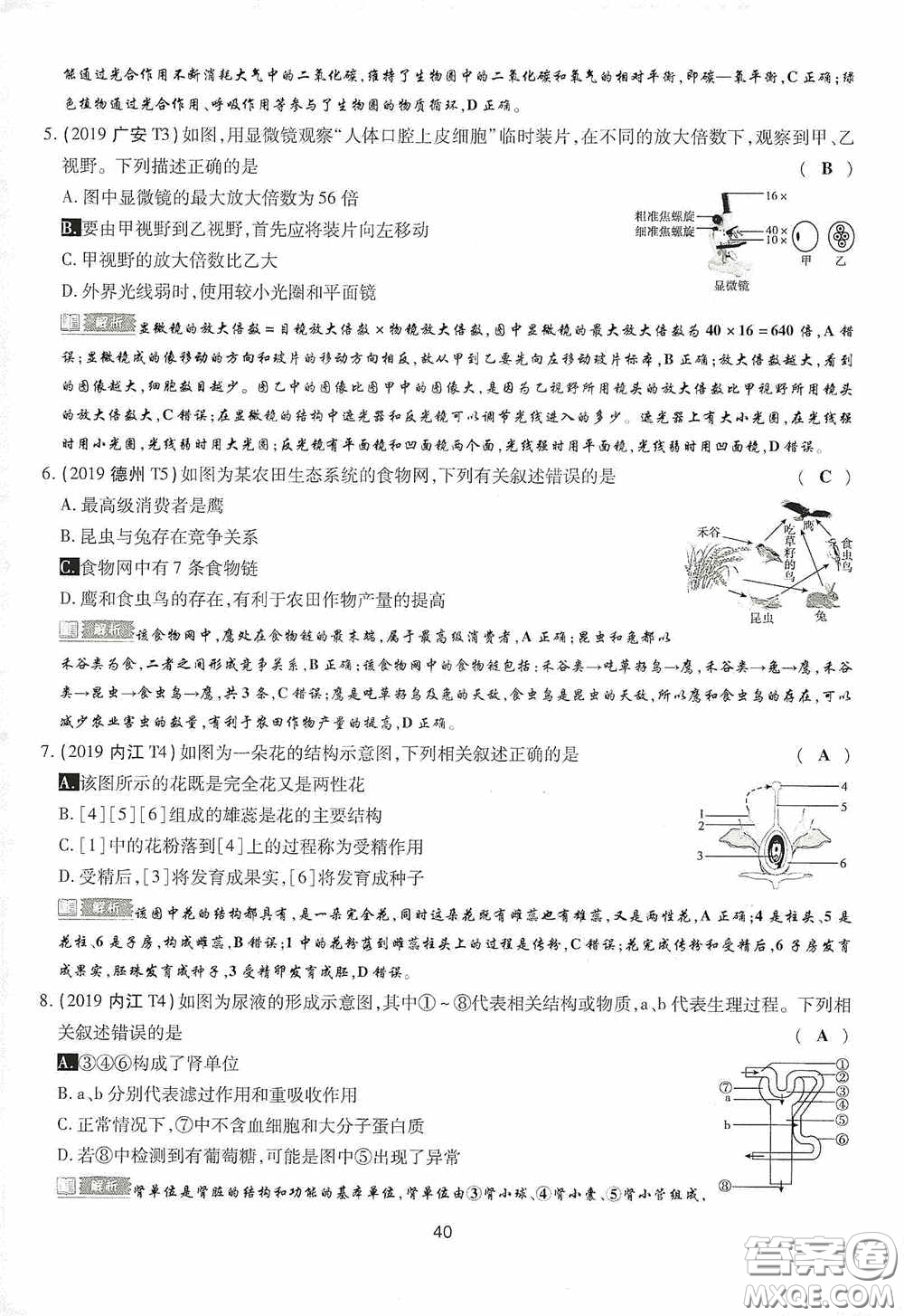 2020江西中考必備中考一卷通生物答案