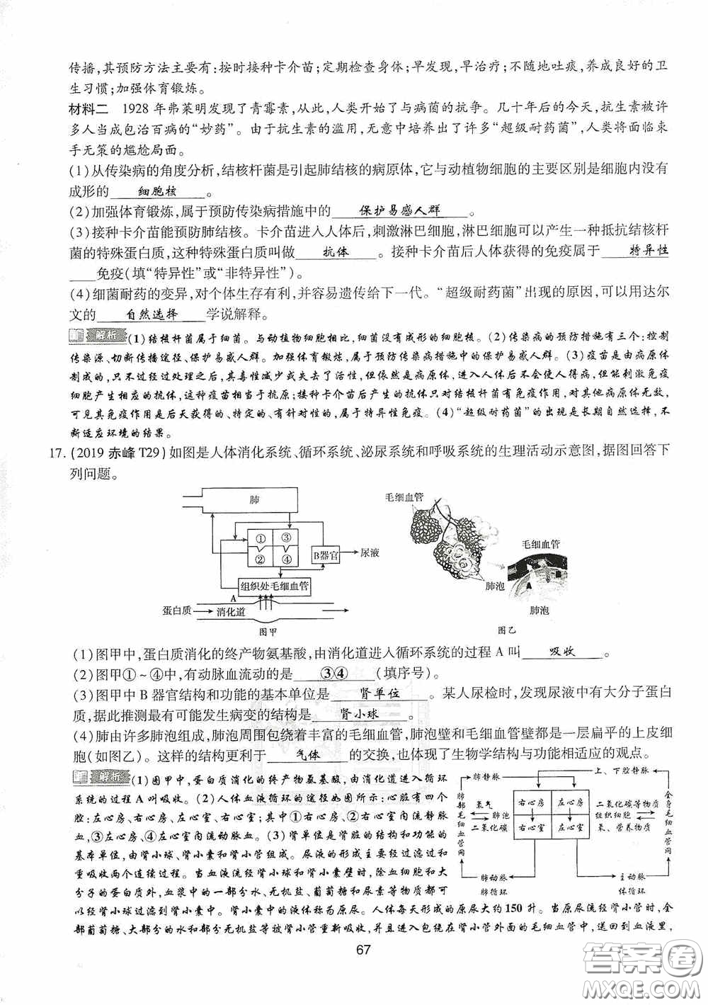 2020江西中考必備中考一卷通生物答案