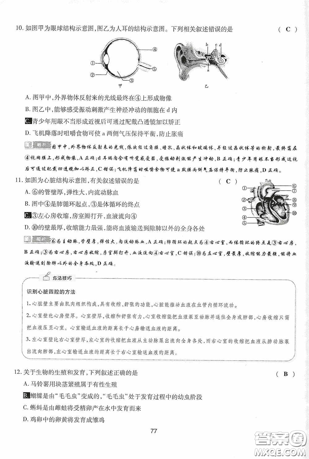 2020江西中考必備中考一卷通生物答案