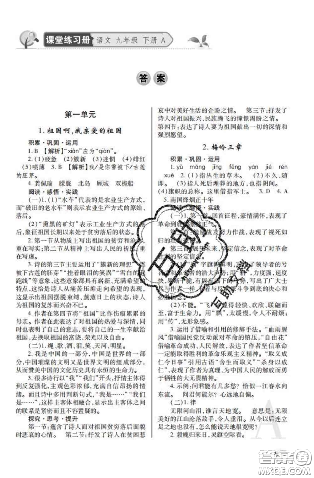 陜西師范大學出版社2020春課堂練習冊九年級語文下冊A版答案