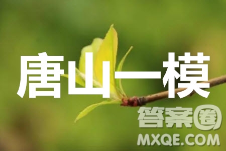 唐山市2019-2020學(xué)年度高三年級第一次模擬考試理科數(shù)學(xué)試題及答案