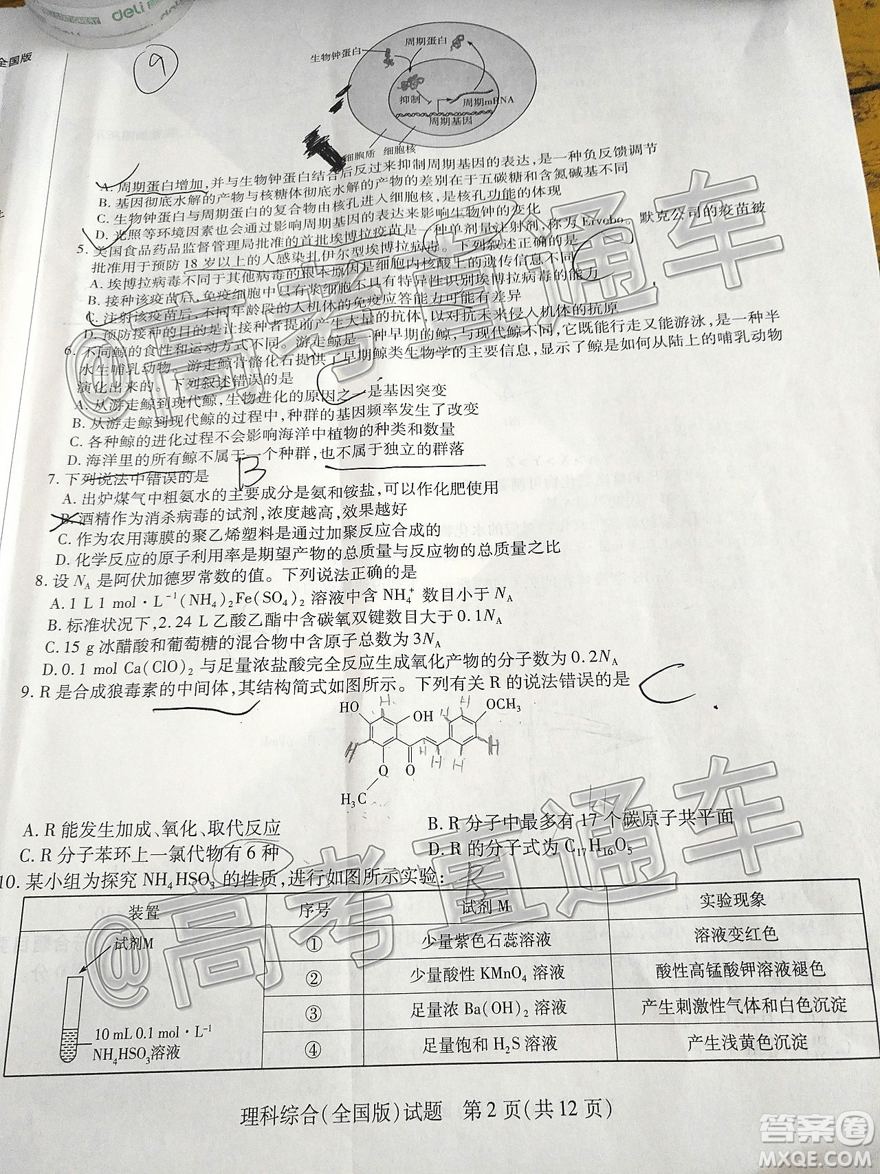 天一大聯(lián)考2019-2020學(xué)年高中畢業(yè)班階段性檢測(cè)三理科綜合試題及答案