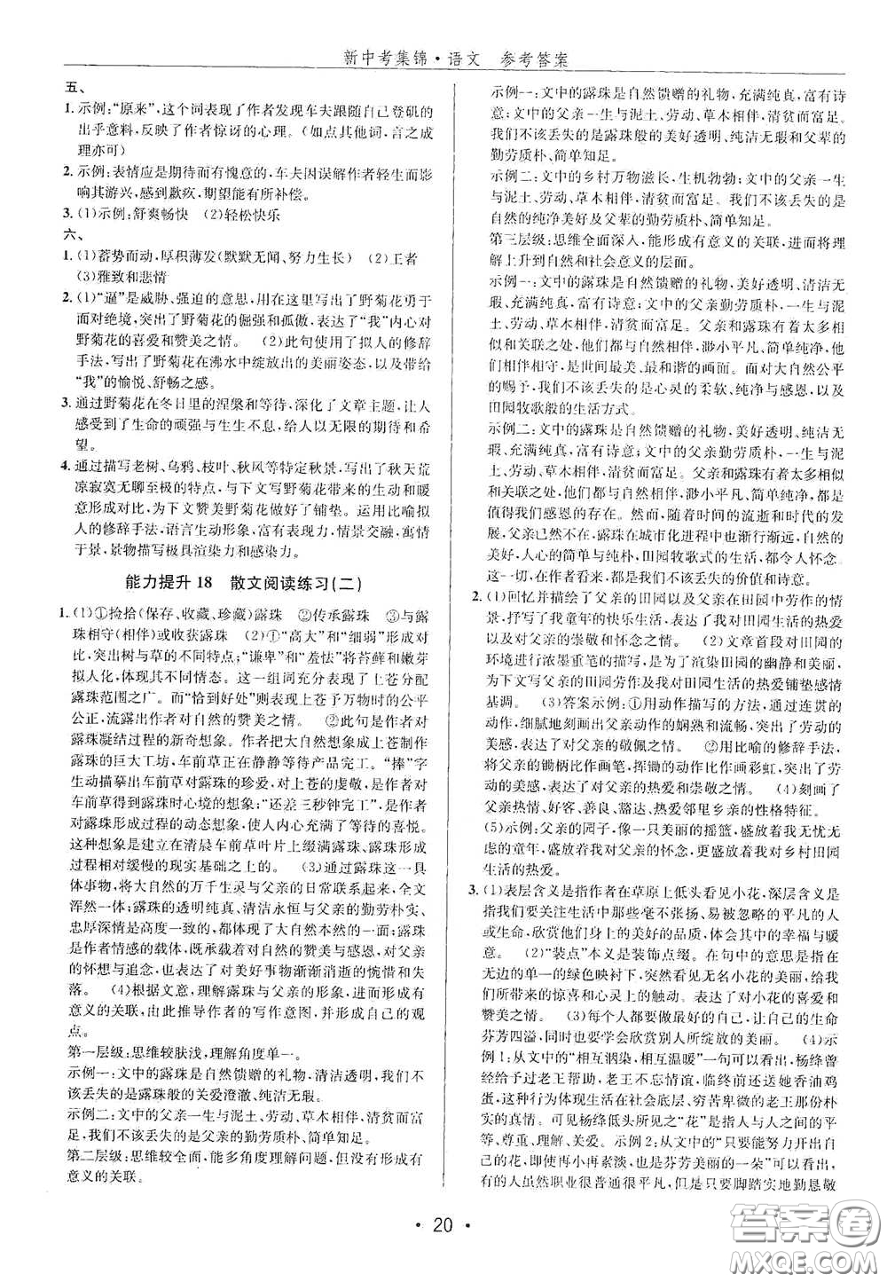 浙江人民出版社2020新中考集錦全程復(fù)習(xí)訓(xùn)練語文課堂講解本答案