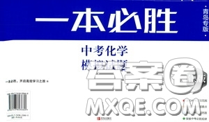 2020一本必勝中考化學(xué)模擬試題銀版答案