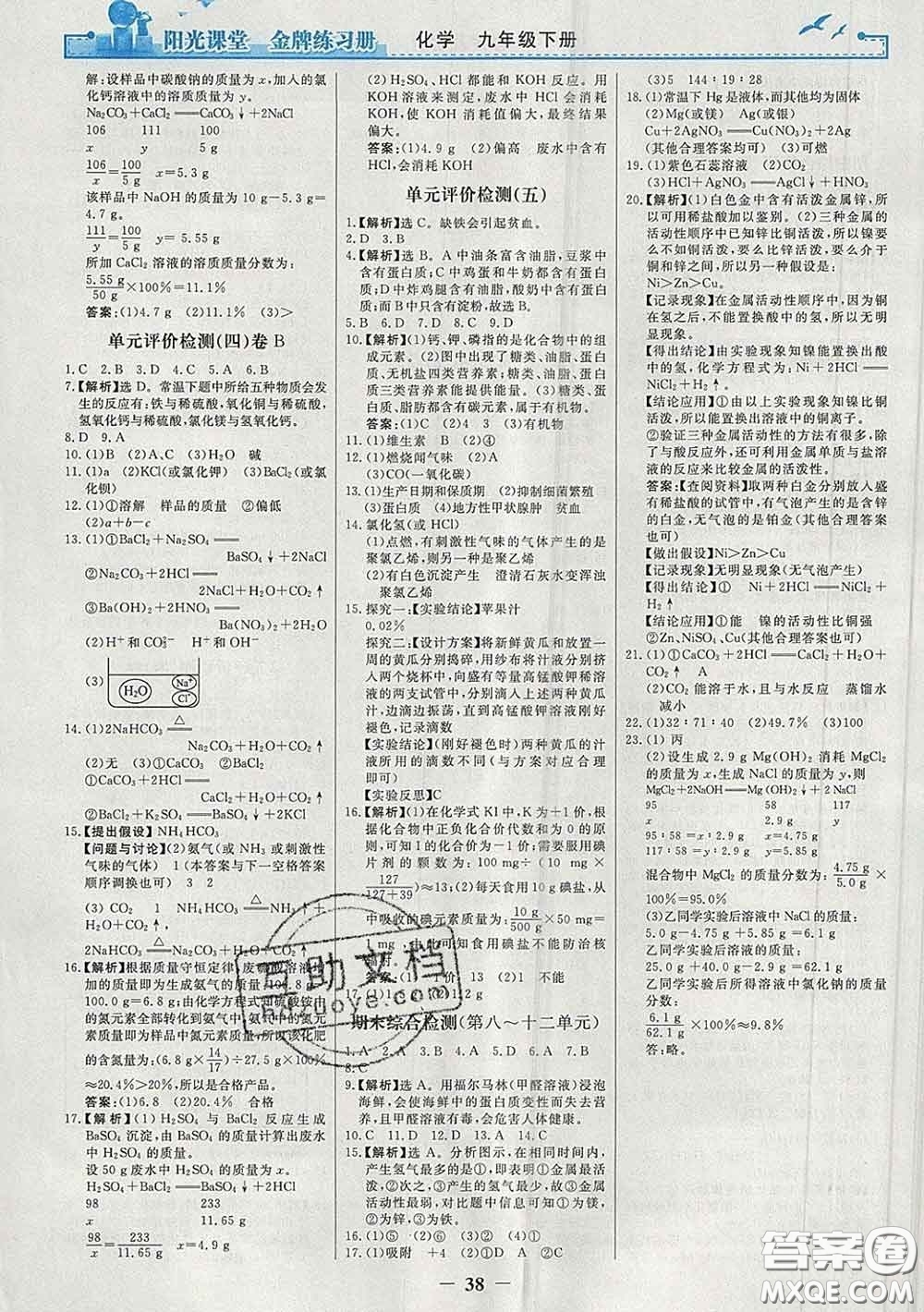 2020新版陽光課堂金牌練習(xí)冊九年級化學(xué)下冊人教版答案