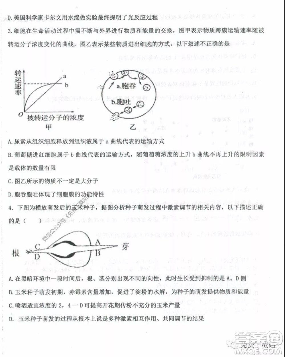 衡水中學(xué)2019-2020學(xué)年度高三年級下學(xué)期期中考試?yán)砜凭C合試題及答案