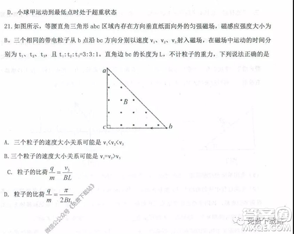 衡水中學(xué)2019-2020學(xué)年度高三年級下學(xué)期期中考試?yán)砜凭C合試題及答案