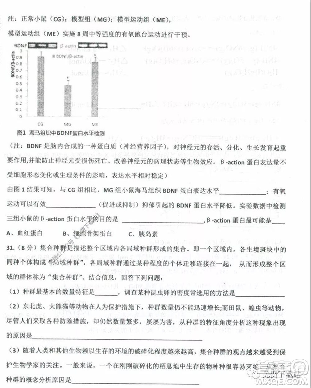 衡水中學(xué)2019-2020學(xué)年度高三年級下學(xué)期期中考試?yán)砜凭C合試題及答案