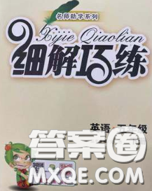 2020春名師助學系列細解巧練五年級英語下冊人教版答案