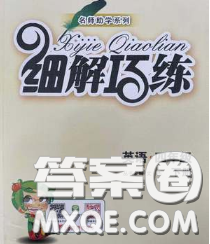 2020春名師助學(xué)系列細(xì)解巧練四年級(jí)英語下冊(cè)人教版答案