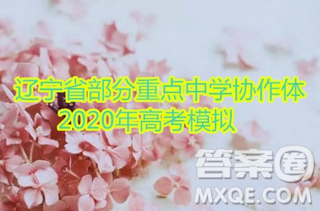 遼寧省部分重點(diǎn)中學(xué)協(xié)作體2020年高考模擬考試文科數(shù)學(xué)試題及答案