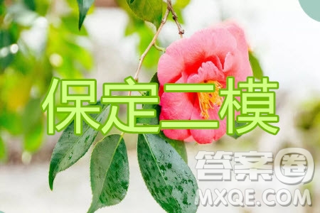 保定2020年高三第二次模擬考試?yán)砜茢?shù)學(xué)試題及答案