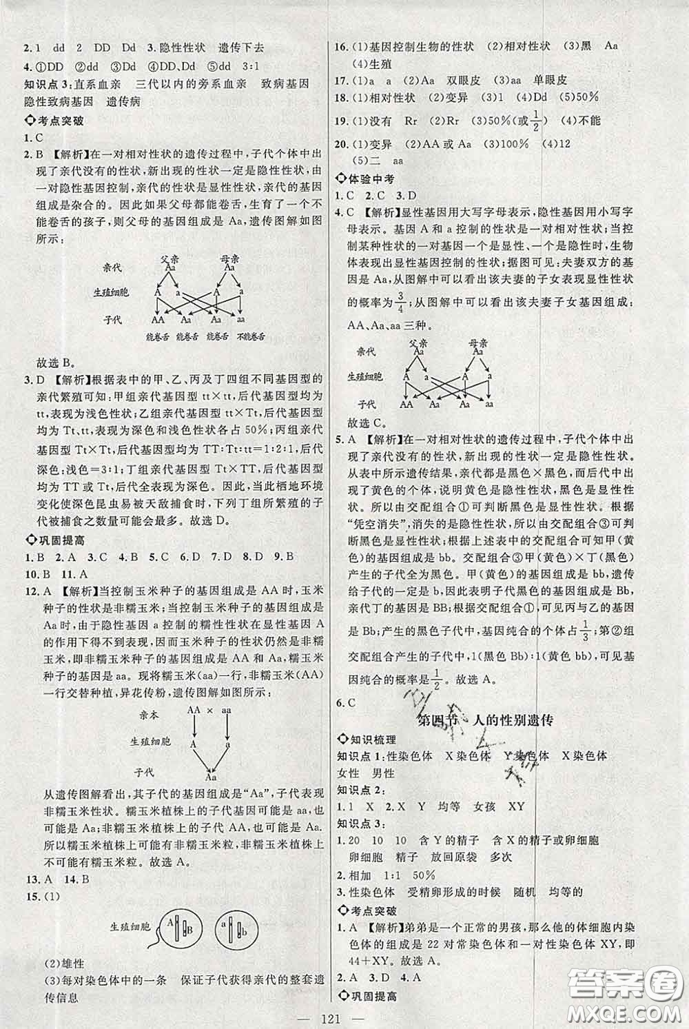 2020春名師助學(xué)系列細(xì)解巧練八年級生物下冊人教版答案