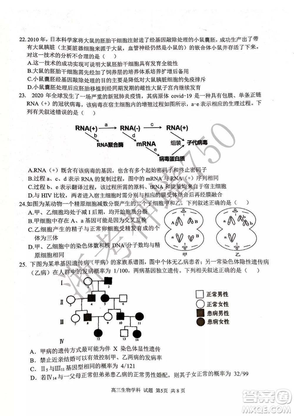 2019學年第二學期浙江七彩陽光新高考研究聯(lián)盟階段性評估高三生物試題及答案