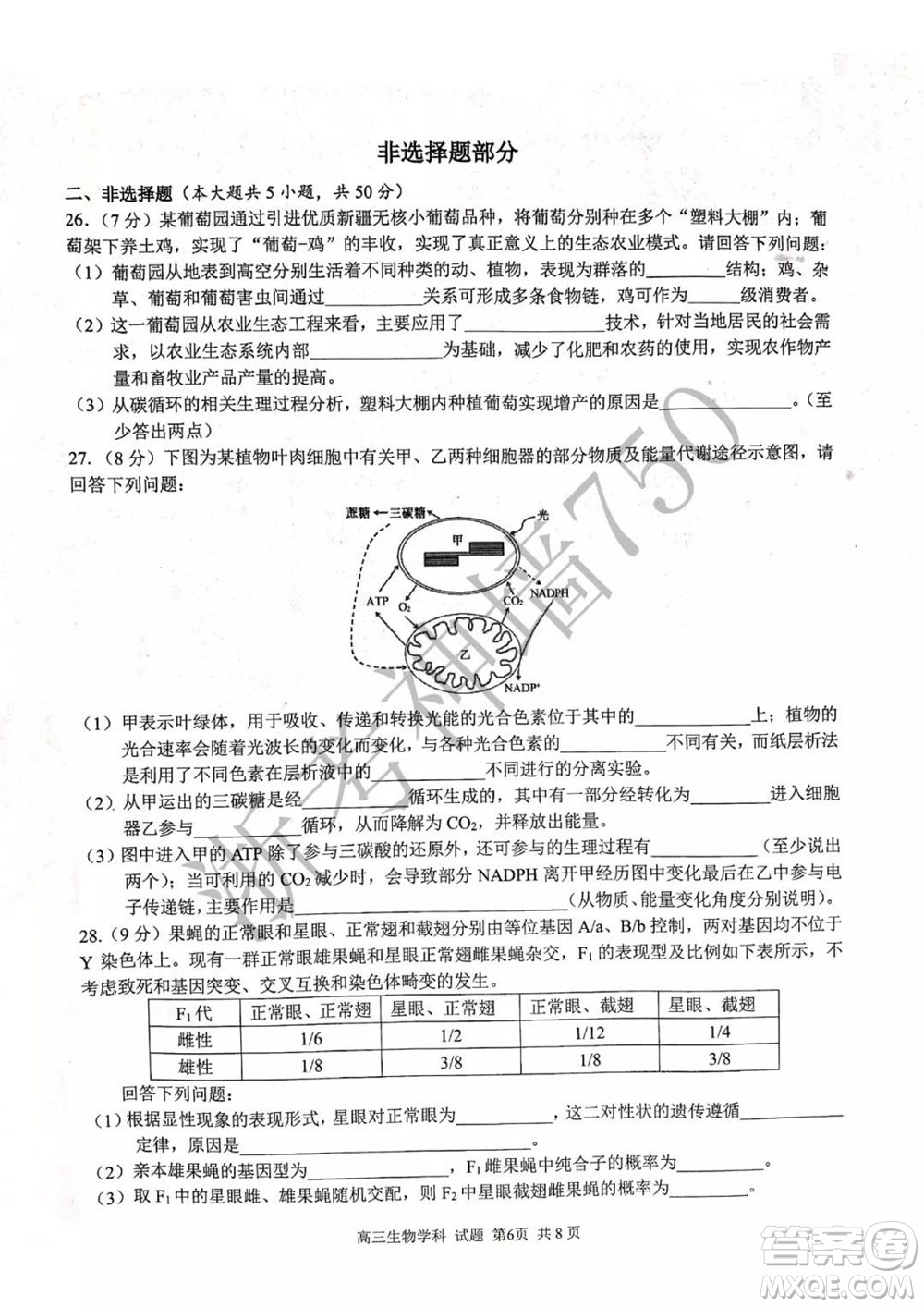 2019學年第二學期浙江七彩陽光新高考研究聯(lián)盟階段性評估高三生物試題及答案