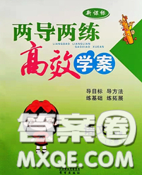 2020新版兩導(dǎo)兩練高效學(xué)案二年級語文下冊人教版答案