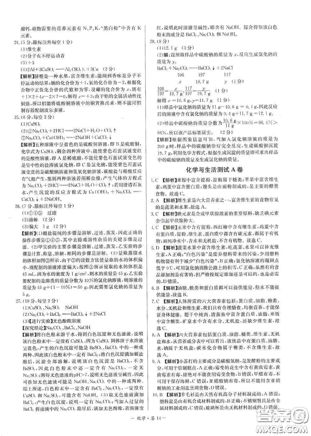 西藏人民出版社2020天利38套對接中考單元專題雙測卷九年級化學下冊人教版答案