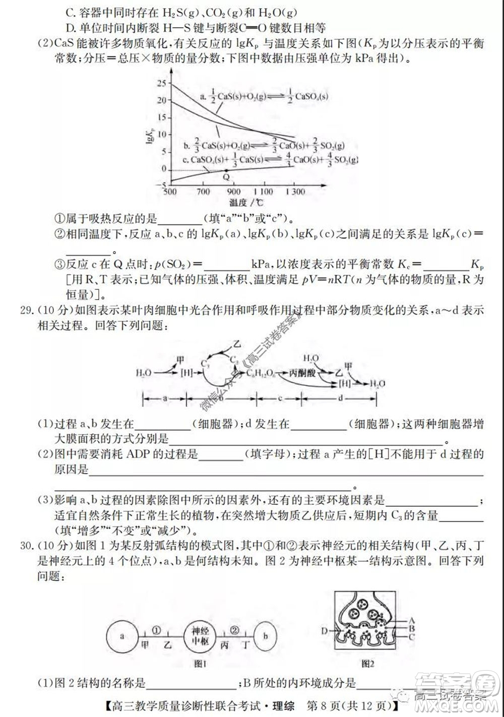 廣西2020年5月份高三教學(xué)質(zhì)量診斷性聯(lián)合考試?yán)砜凭C合試題及答案