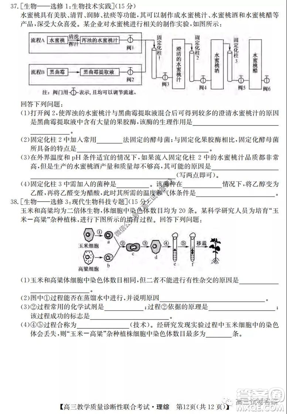 廣西2020年5月份高三教學(xué)質(zhì)量診斷性聯(lián)合考試?yán)砜凭C合試題及答案