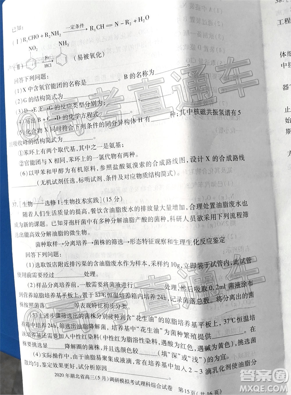 2020年湖北省高三5月調(diào)研模擬考試?yán)砜凭C合試題及答案