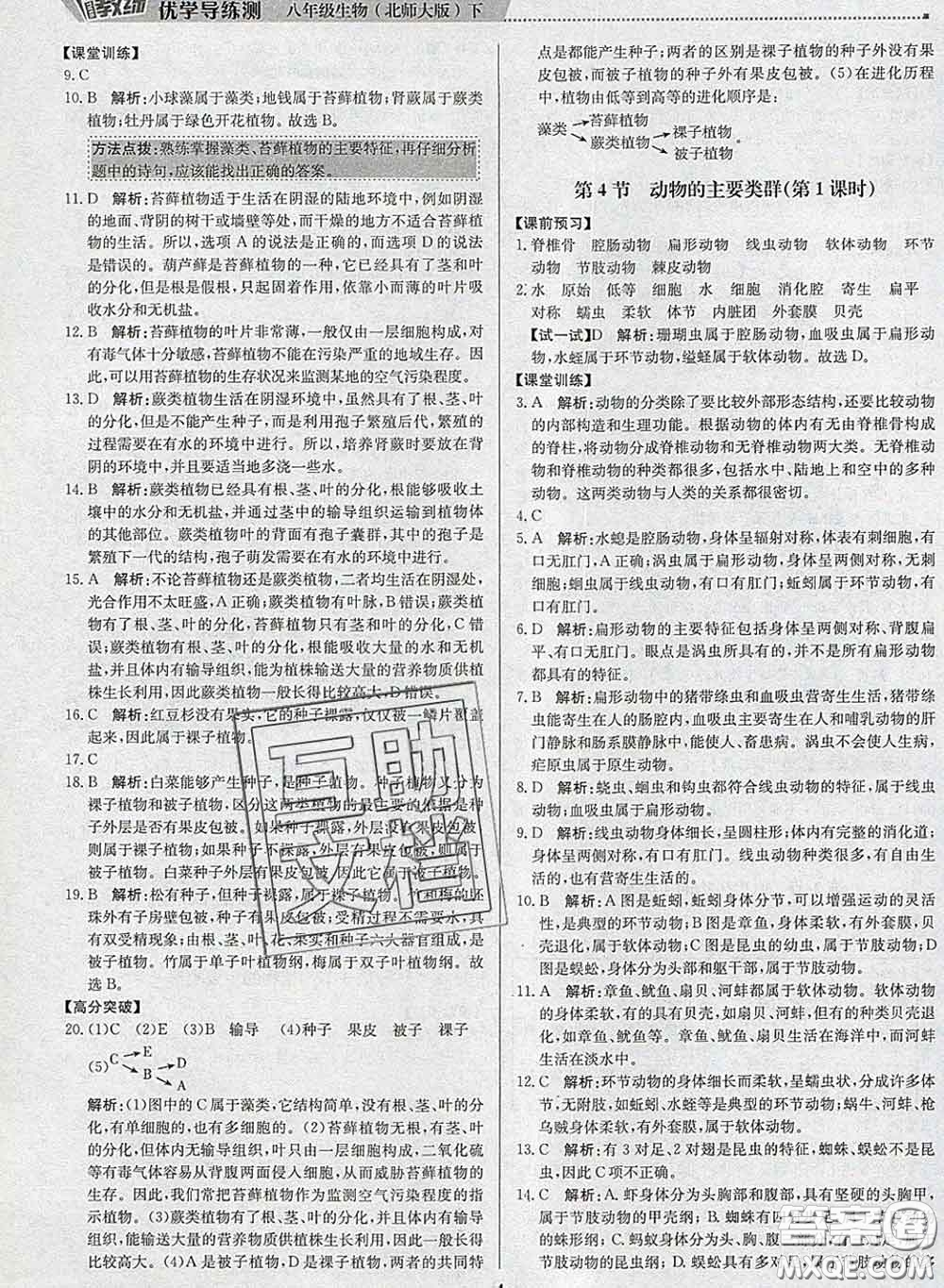 2020春提分教練優(yōu)學(xué)導(dǎo)練測(cè)八年級(jí)生物下冊(cè)北師版答案