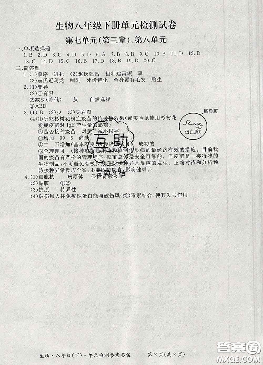 2020新版新課標(biāo)形成性練習(xí)與檢測八年級生物下冊人教版答案