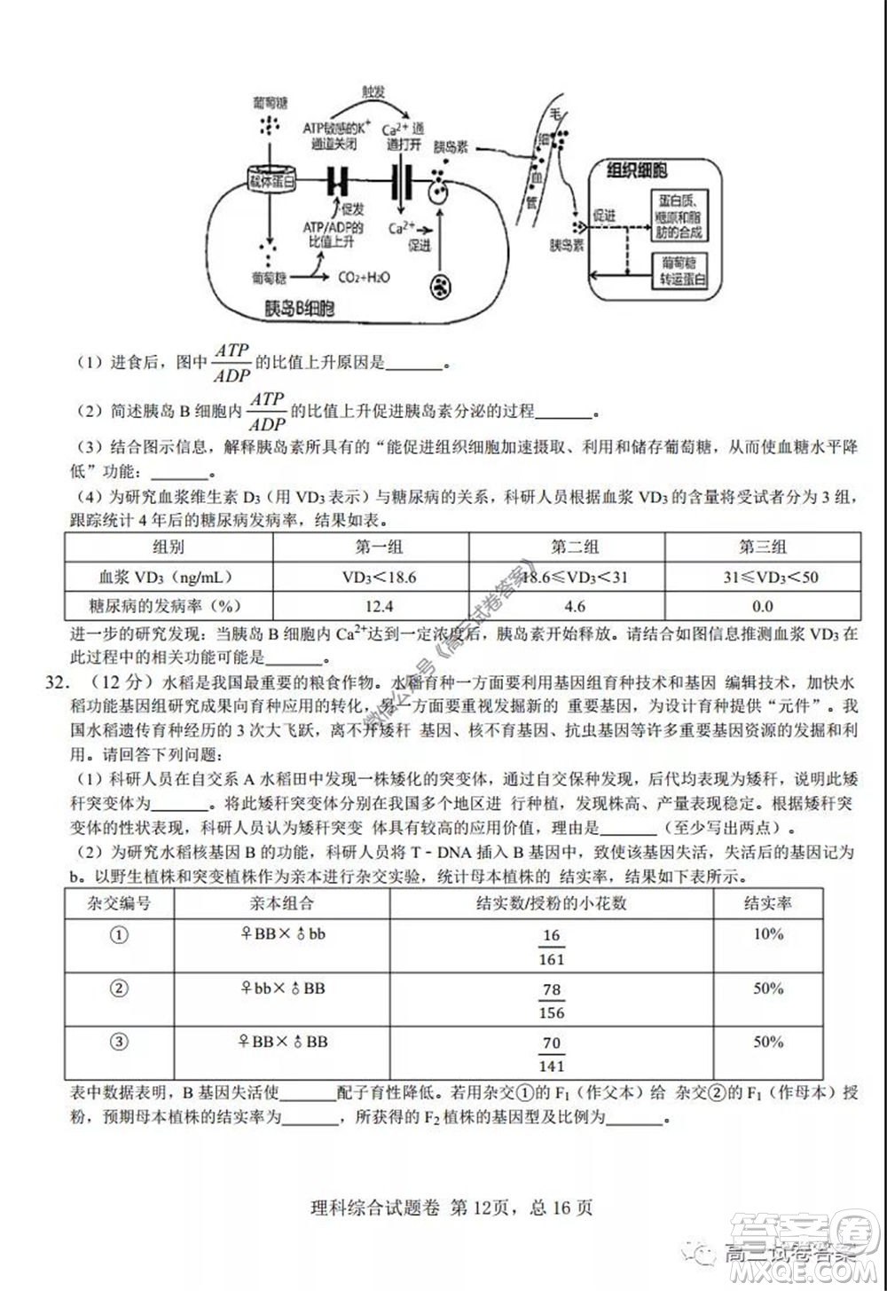 湖南師范大學(xué)附屬學(xué)校2020屆高三5月模擬理科綜合試題及答案