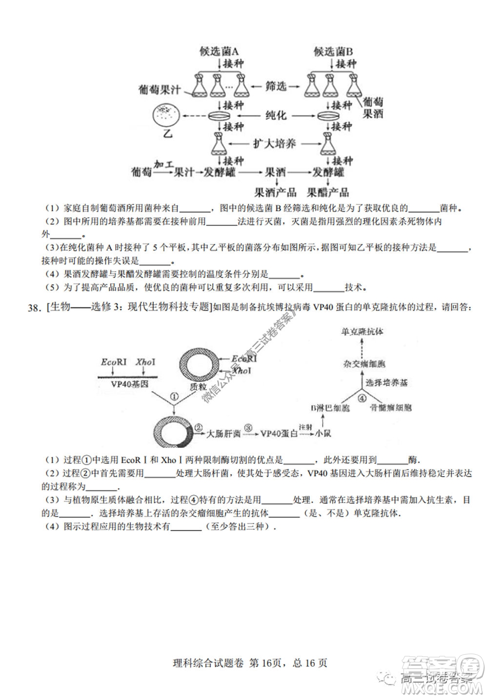 湖南師范大學(xué)附屬學(xué)校2020屆高三5月模擬理科綜合試題及答案