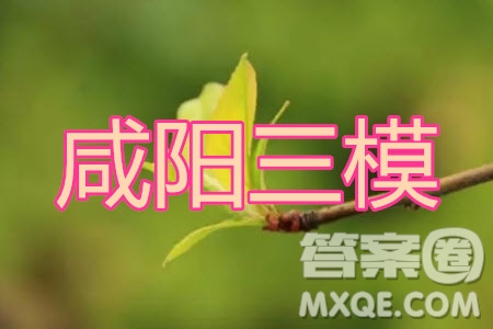 咸陽市2020年高考模擬檢測三理科數(shù)學(xué)試題及答案