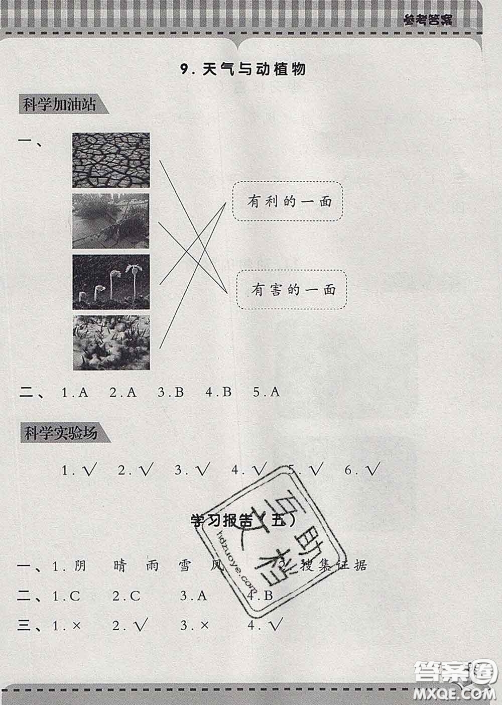 青島出版社2020春新課堂同步學習與探究二年級科學下冊答案