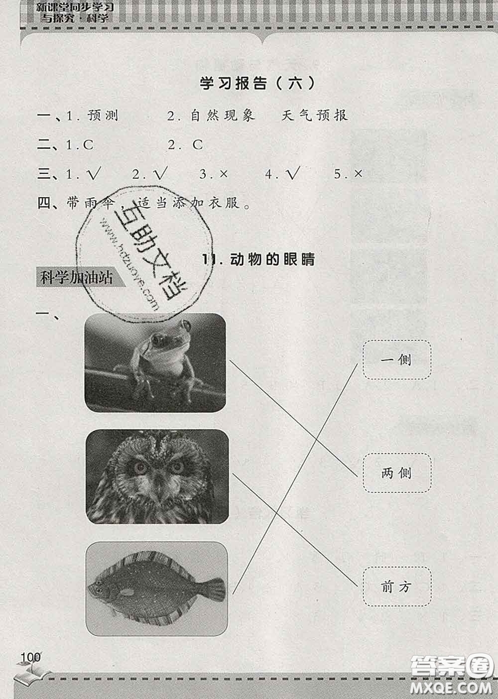 青島出版社2020春新課堂同步學習與探究二年級科學下冊答案