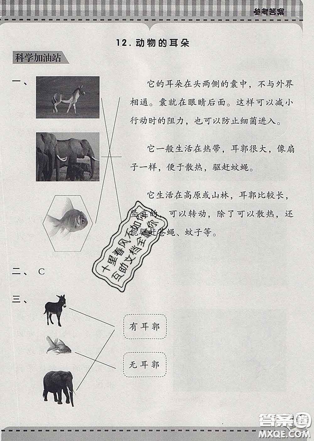 青島出版社2020春新課堂同步學習與探究二年級科學下冊答案