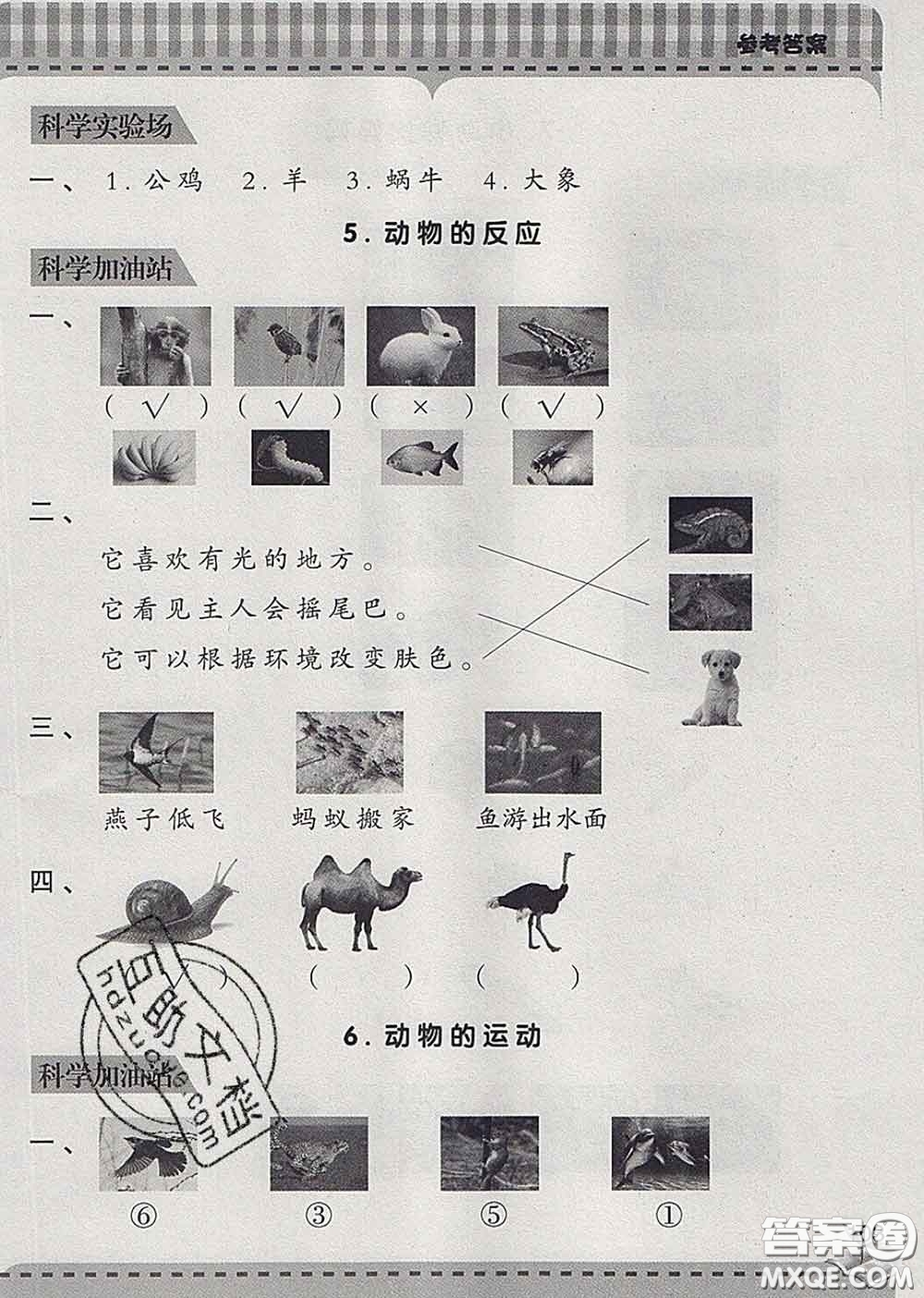 青島出版社2020春新課堂同步學(xué)習(xí)與探究一年級(jí)科學(xué)下冊(cè)答案