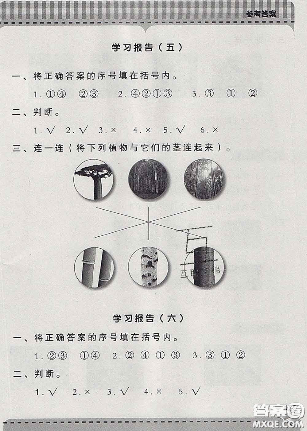 青島出版社2020春新課堂同步學(xué)習(xí)與探究一年級(jí)科學(xué)下冊(cè)答案