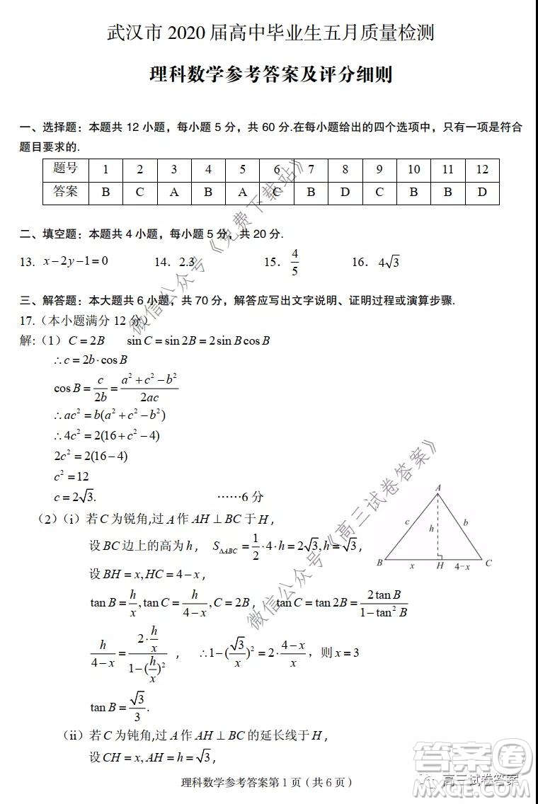 武漢市2020屆高中畢業(yè)生五月質(zhì)量檢測理科數(shù)學試題及答案