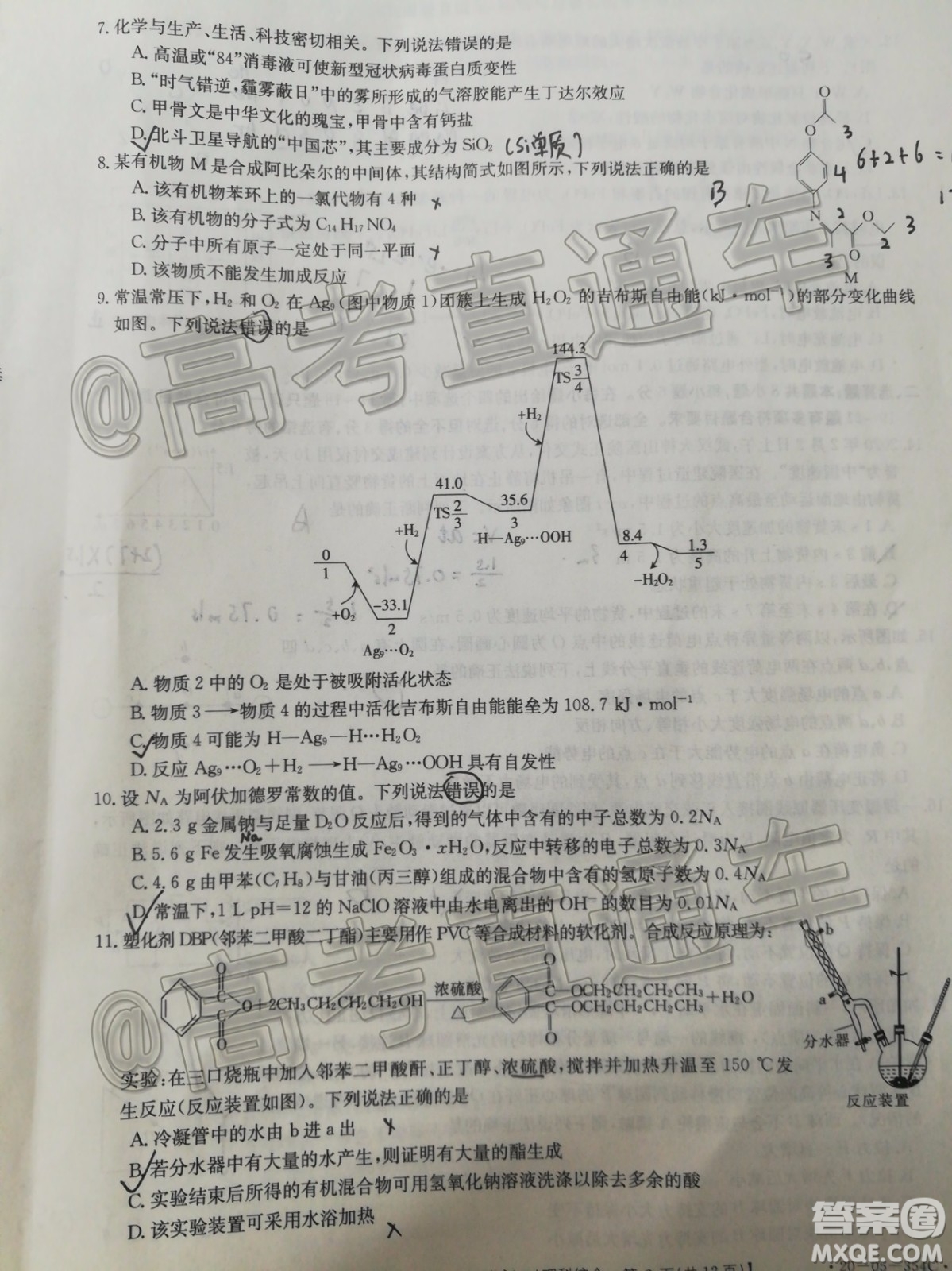 湛江市2020年普通高考測試二理科綜合試題及答案